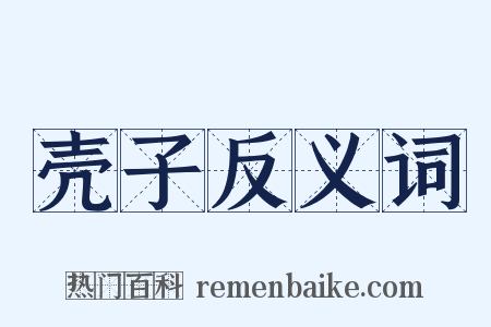 壳子反义词是什么意思的图片